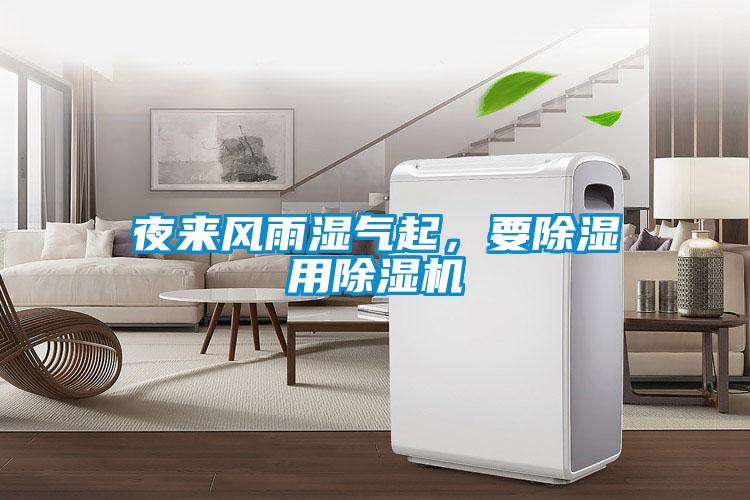 夜來風(fēng)雨濕氣起，要除濕用除濕機(jī)