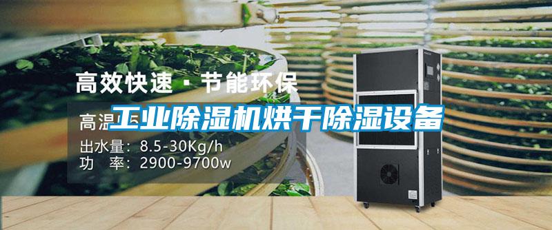 工業(yè)除濕機烘干除濕設備