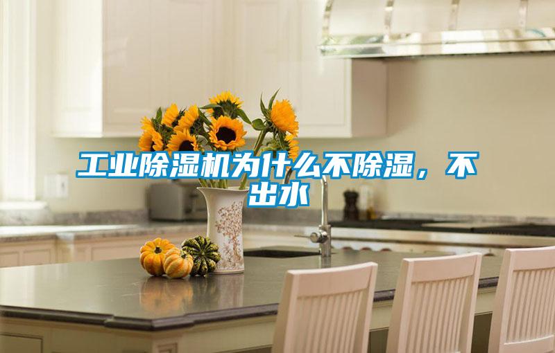 工業(yè)除濕機(jī)為什么不除濕，不出水