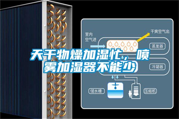 天干物燥加濕忙，噴霧加濕器不能少