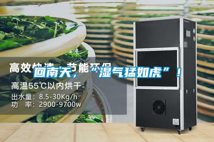 回南天，“濕氣猛如虎”！