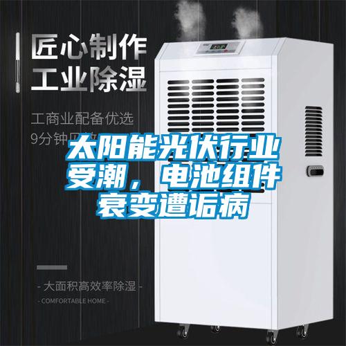 太陽(yáng)能光伏行業(yè)受潮，電池組件衰變?cè)庠嵅?/></p>
<p style=
