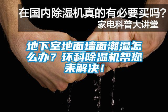 地下室地面墻面潮濕怎么辦?環(huán)科除濕機(jī)幫您來解決!