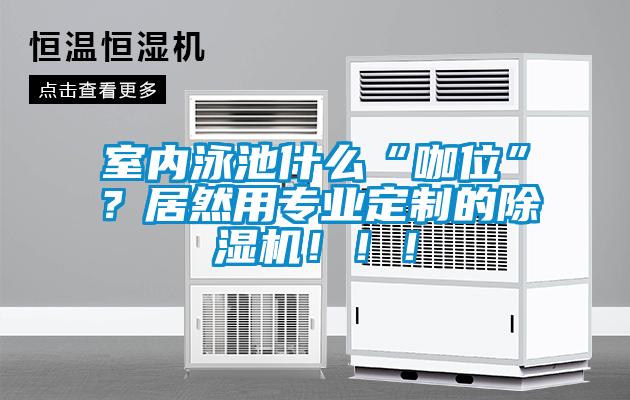 室內(nèi)泳池什么“咖位”？居然用專業(yè)定制的除濕機(jī)?。?！