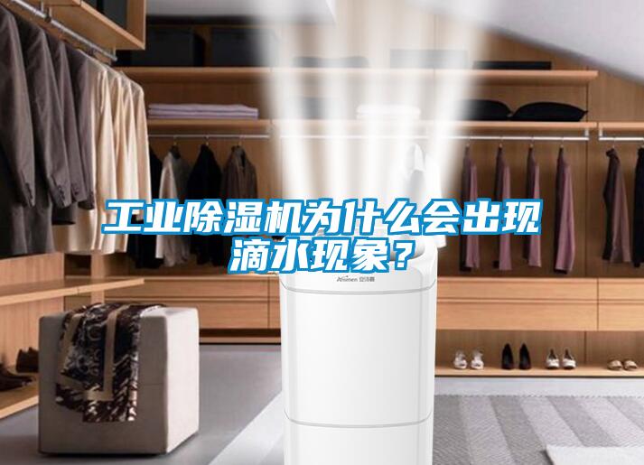 工業(yè)除濕機(jī)為什么會(huì)出現(xiàn)滴水現(xiàn)象？