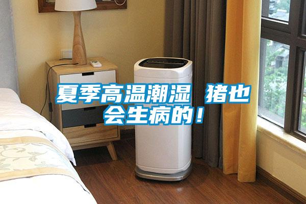 夏季高溫潮濕 豬也會生病的！