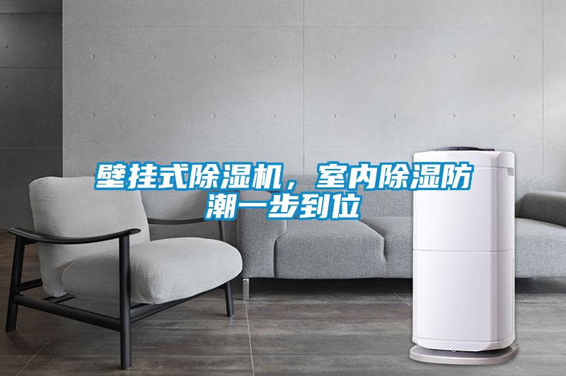壁掛式除濕機，室內(nèi)除濕防潮一步到位