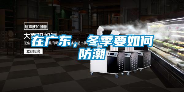 在廣東，冬季要如何防潮