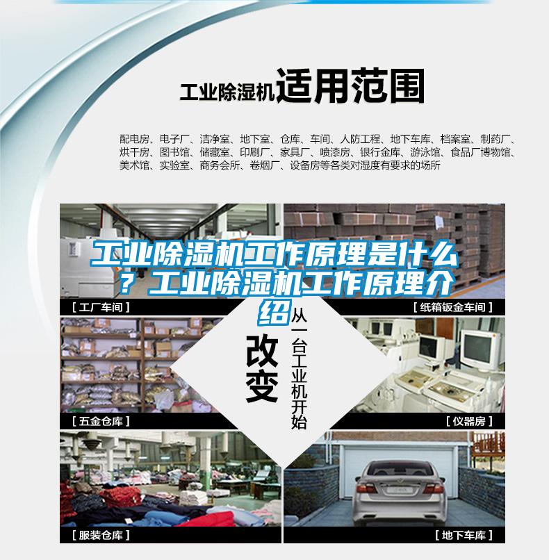 工業(yè)除濕機(jī)工作原理是什么 ？工業(yè)除濕機(jī)工作原理介紹