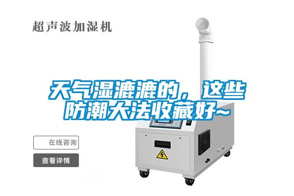天氣濕漉漉的，這些防潮大法收藏好~