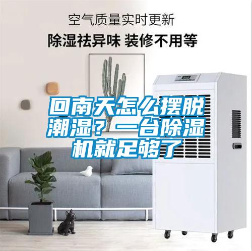 回南天怎么擺脫潮濕？一臺除濕機就足夠了