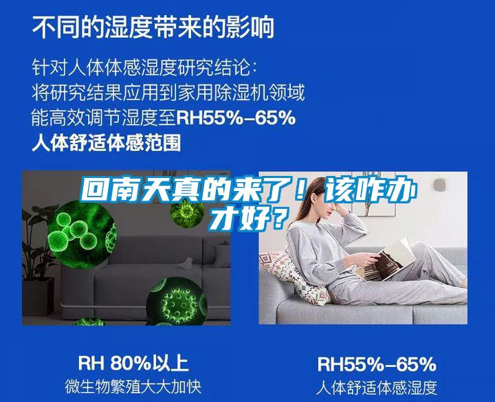 回南天真的來(lái)了！該咋辦才好？