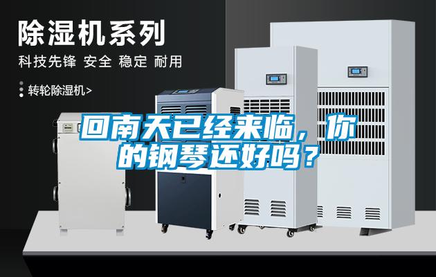 回南天已經(jīng)來臨，你的鋼琴還好嗎？