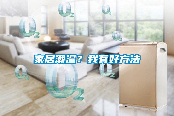 家居潮濕？我有好方法