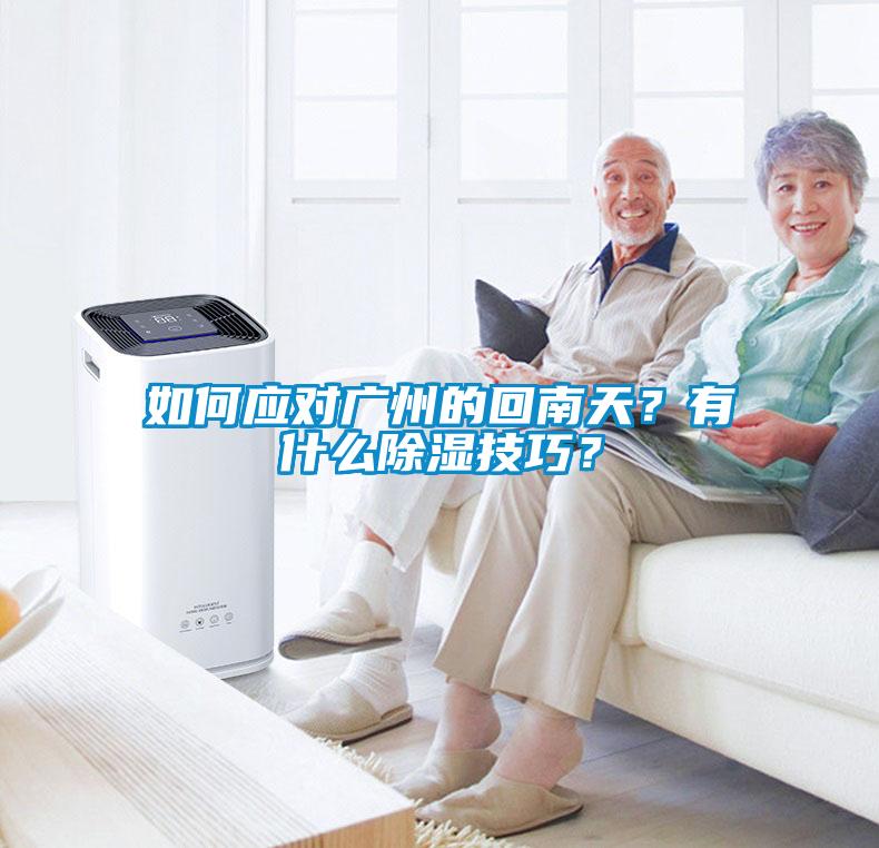 如何應(yīng)對廣州的回南天？有什么除濕技巧？