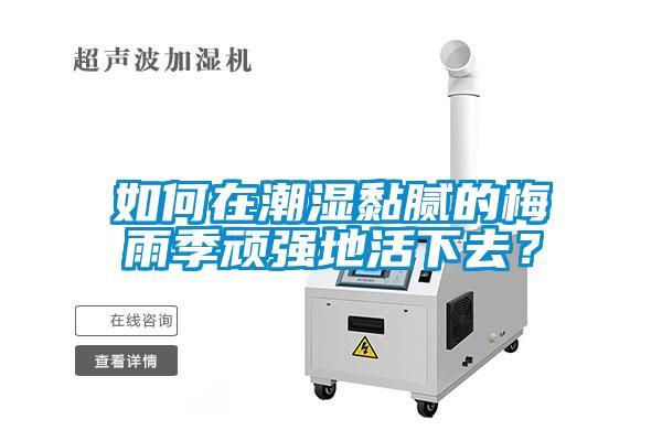 如何在潮濕黏膩的梅雨季頑強地活下去？
