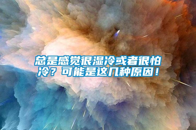 總是感覺很濕冷或者很怕冷？可能是這幾種原因！