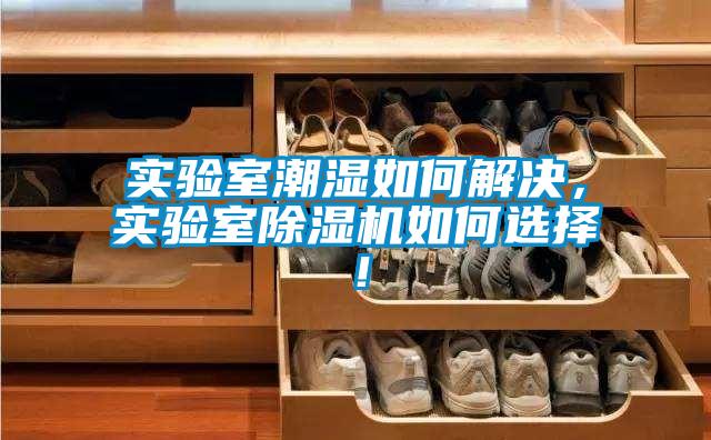 實(shí)驗(yàn)室潮濕如何解決，實(shí)驗(yàn)室除濕機(jī)如何選擇！