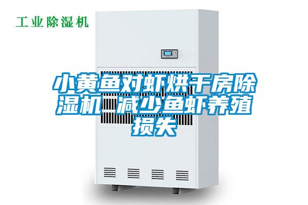 小黃魚對(duì)蝦烘干房除濕機(jī) 減少魚蝦養(yǎng)殖損失