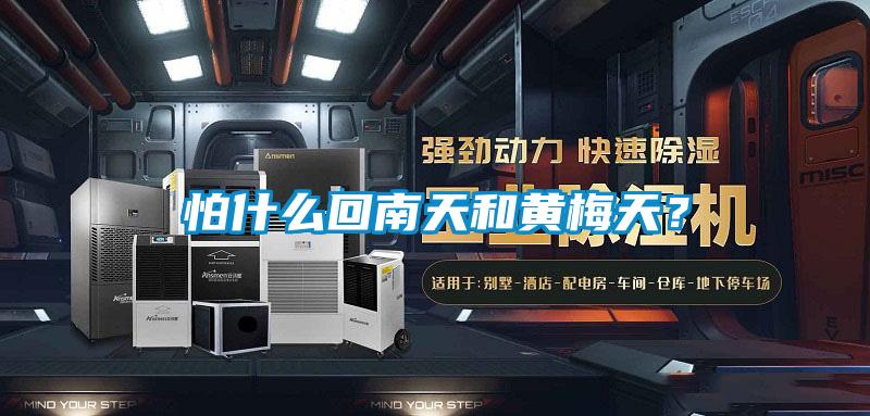 怕什么回南天和黃梅天？