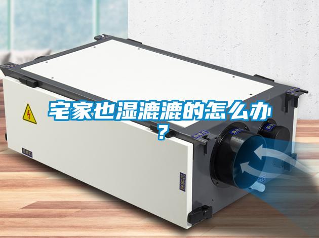 宅家也濕漉漉的怎么辦？