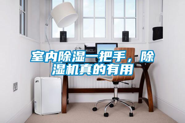室內(nèi)除濕一把手，除濕機(jī)真的有用