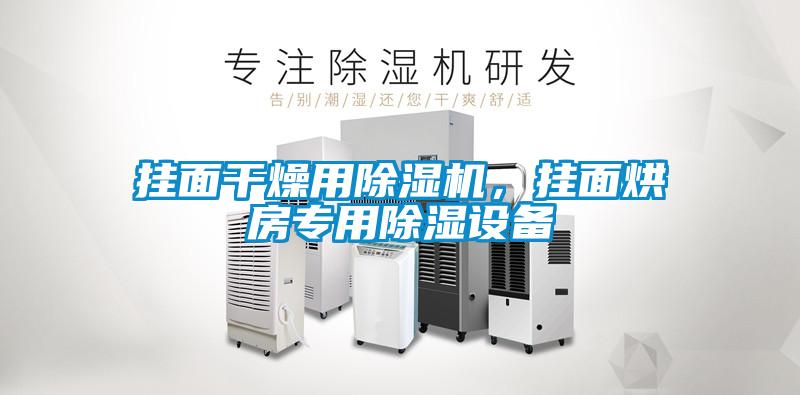 掛面干燥用除濕機(jī)，掛面烘房專(zhuān)用除濕設(shè)備