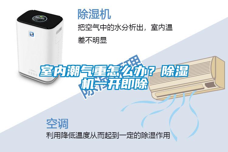 室內(nèi)潮氣重怎么辦？除濕機(jī)一開即除