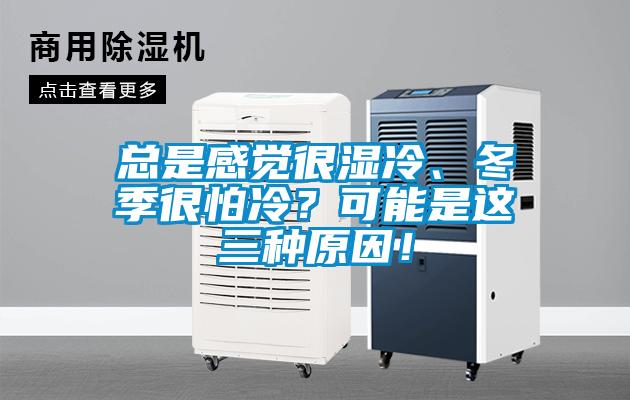總是感覺很濕冷、冬季很怕冷？可能是這三種原因！