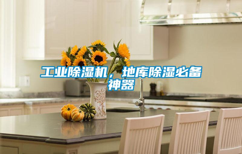 工業(yè)除濕機(jī)，地庫除濕必備神器