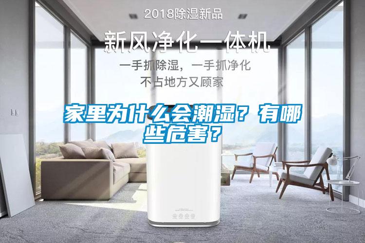 家里為什么會(huì)潮濕？有哪些危害？