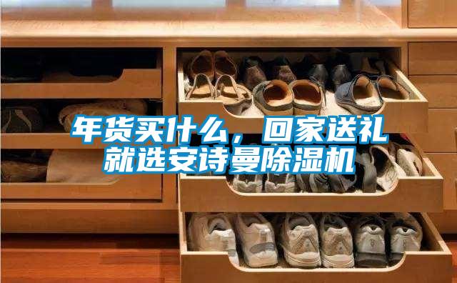 年貨買什么，回家送禮就選安詩曼除濕機