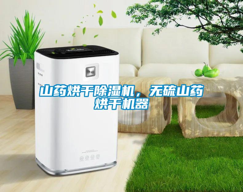 山藥烘干除濕機，無硫山藥烘干機器