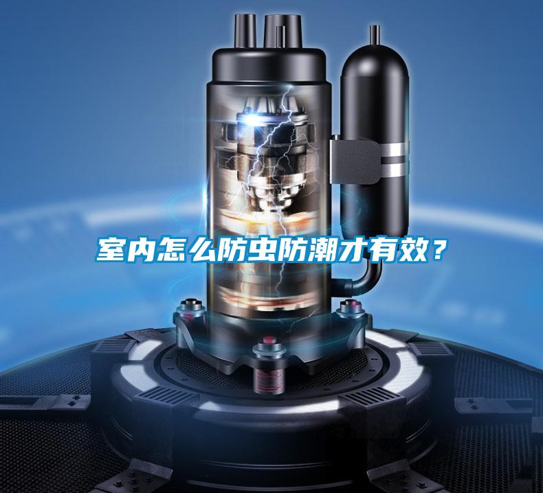 室內(nèi)怎么防蟲防潮才有效？