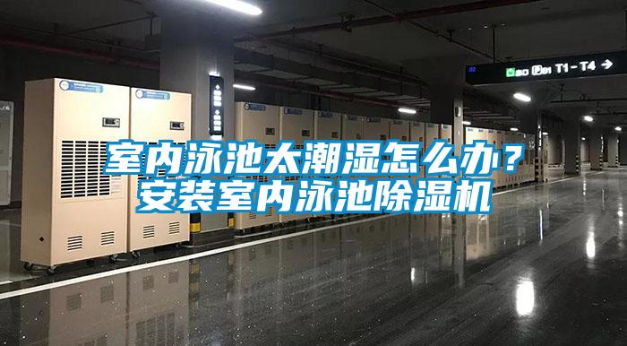 室內(nèi)泳池太潮濕怎么辦？安裝室內(nèi)泳池除濕機(jī)