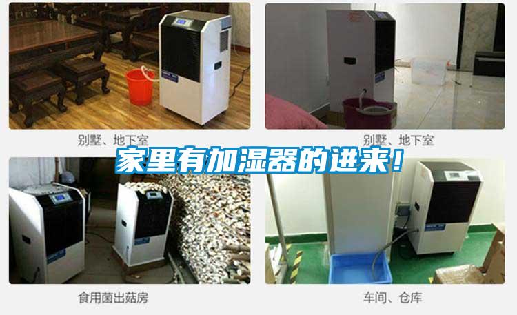 家里有加濕器的進(jìn)來！