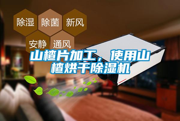 山楂片加工，使用山楂烘干除濕機(jī)