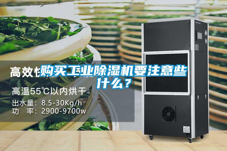 購買工業(yè)除濕機(jī)要注意些什么？