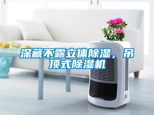 深藏不露立體除濕，吊頂式除濕機(jī)