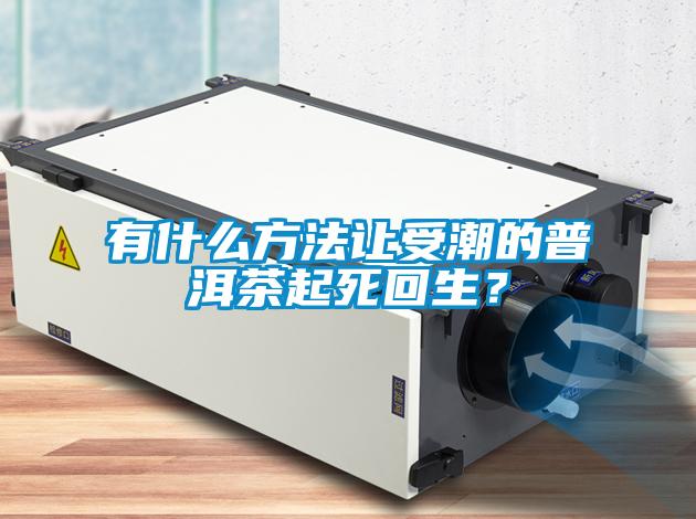 有什么方法讓受潮的普洱茶起死回生？