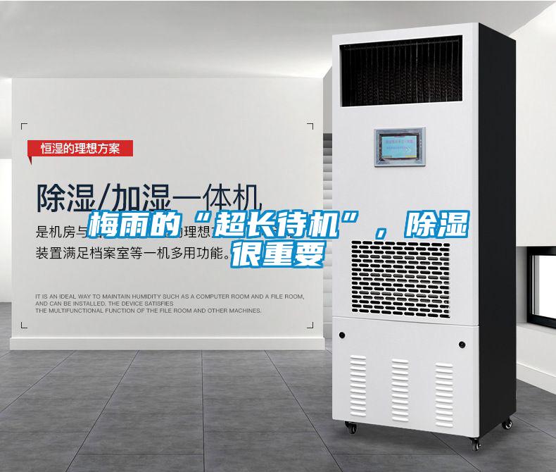 梅雨的“超長待機(jī)”，除濕很重要