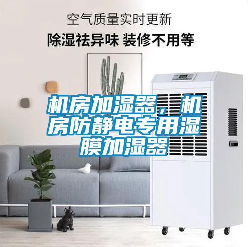 機(jī)房加濕器，機(jī)房防靜電專用濕膜加濕器