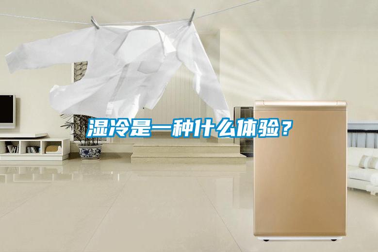 濕冷是一種什么體驗(yàn)？