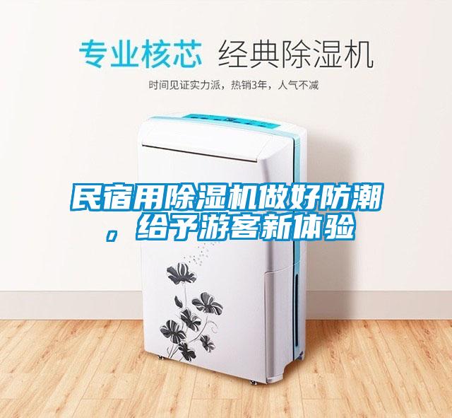 民宿用除濕機做好防潮，給予游客新體驗