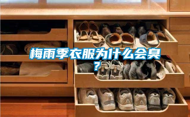 梅雨季衣服為什么會臭？
