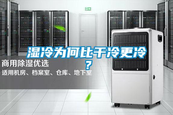 濕冷為何比干冷更冷？