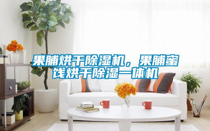果脯烘干除濕機(jī)，果脯蜜餞烘干除濕一體機(jī)