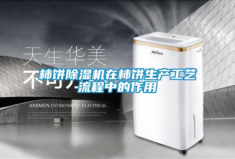 柿餅除濕機在柿餅生產(chǎn)工藝流程中的作用