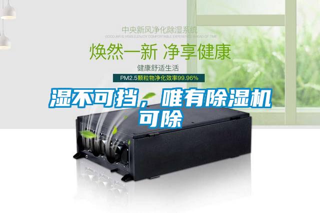 濕不可擋，唯有除濕機可除
