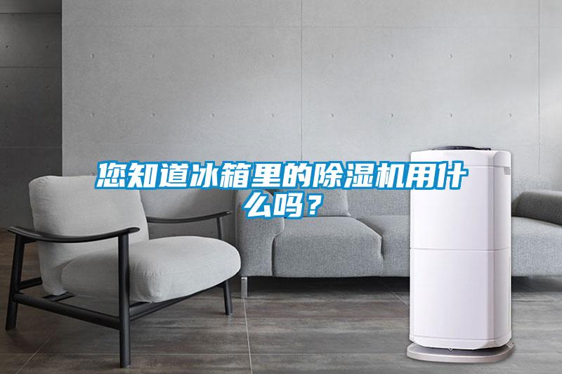 您知道冰箱里的除濕機(jī)用什么嗎？